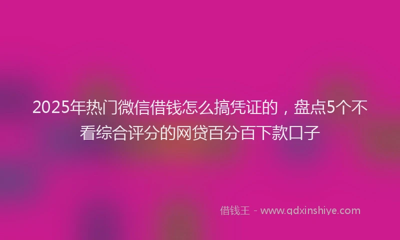 2025年热门微信借钱怎么搞凭证的，盘点5个不看综合评分的网贷百分百下款口子