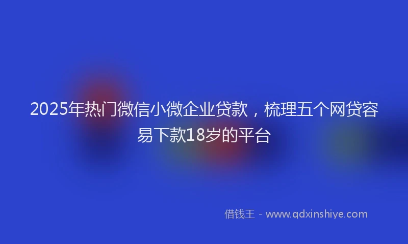 2025年热门微信小微企业贷款，梳理五个网贷容易下款18岁的平台