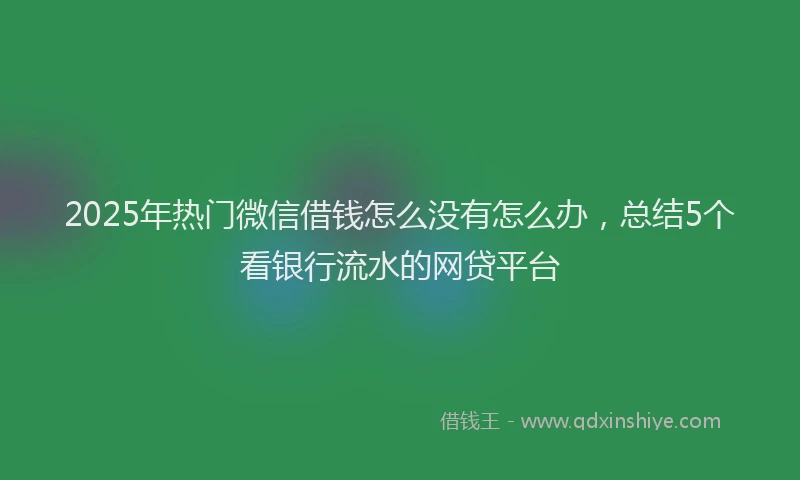 2025年热门微信借钱怎么没有怎么办，总结5个看银行流水的网贷平台