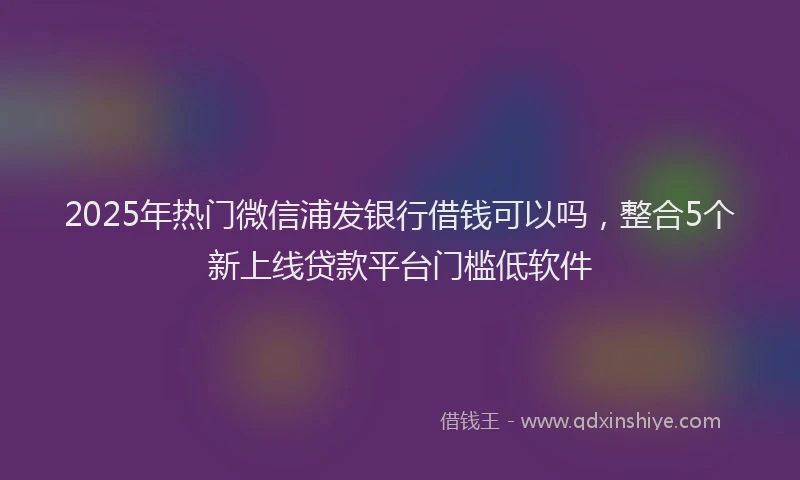 2025年热门微信浦发银行借钱可以吗，整合5个新上线贷款平台门槛低软件