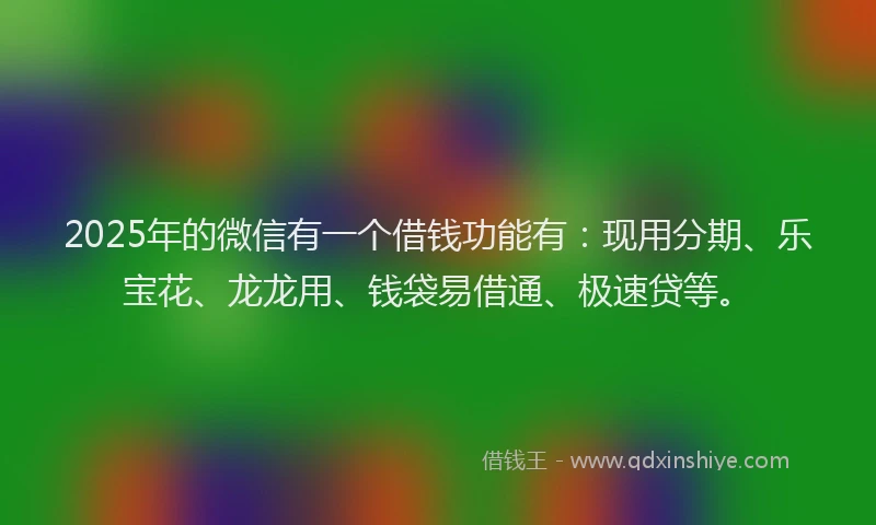 2025年的微信有一个借钱功能有：现用分期、乐宝花、龙龙用、钱袋易借通、极速贷等。