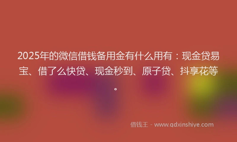 2025年的微信借钱备用金有什么用有：现金贷易宝、借了么快贷、现金秒到、原子贷、抖享花等。