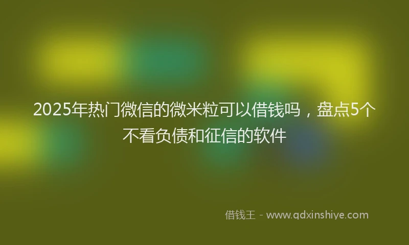 2025年热门微信的微米粒可以借钱吗，盘点5个不看负债和征信的软件
