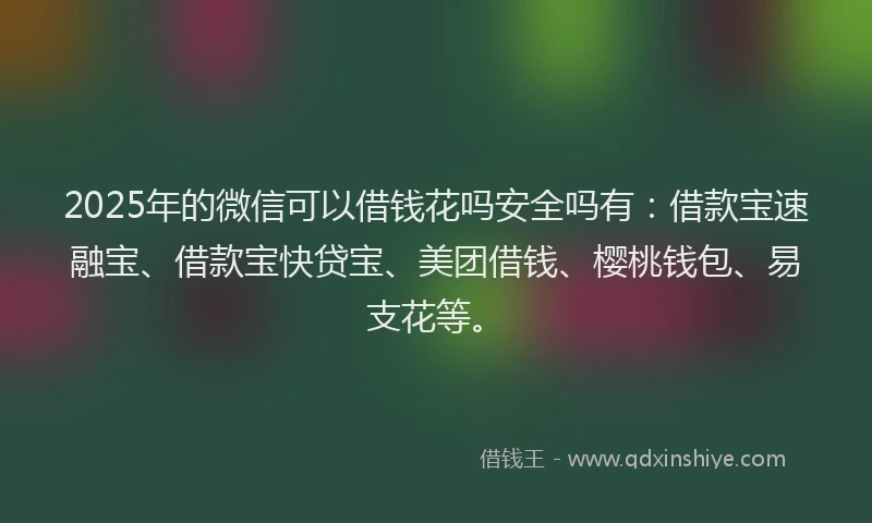 2025年的微信可以借钱花吗安全吗有：借款宝速融宝、借款宝快贷宝、美团借钱、樱桃钱包、易支花等。