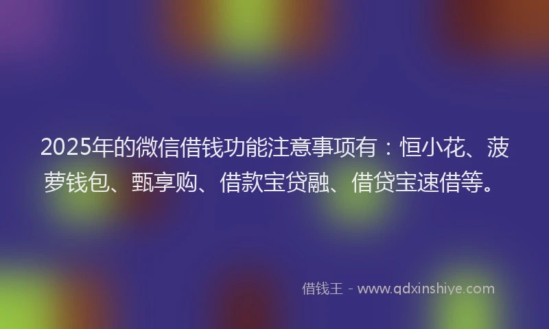 2025年的微信借钱功能注意事项有：恒小花、菠萝钱包、甄享购、借款宝贷融、借贷宝速借等。