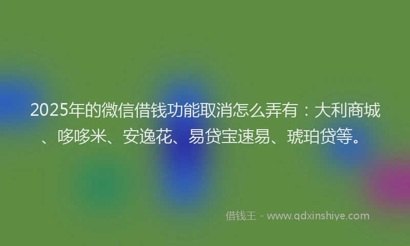 2025年的微信借钱功能取消怎么弄有：大利商城、哆哆米、安逸花、易贷宝速易、琥珀贷等。