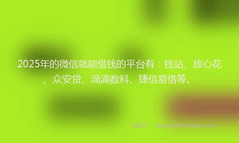 2025年的微信就能借钱的平台有：钱站、放心花、众安贷、滴滴数科、捷信易借等。