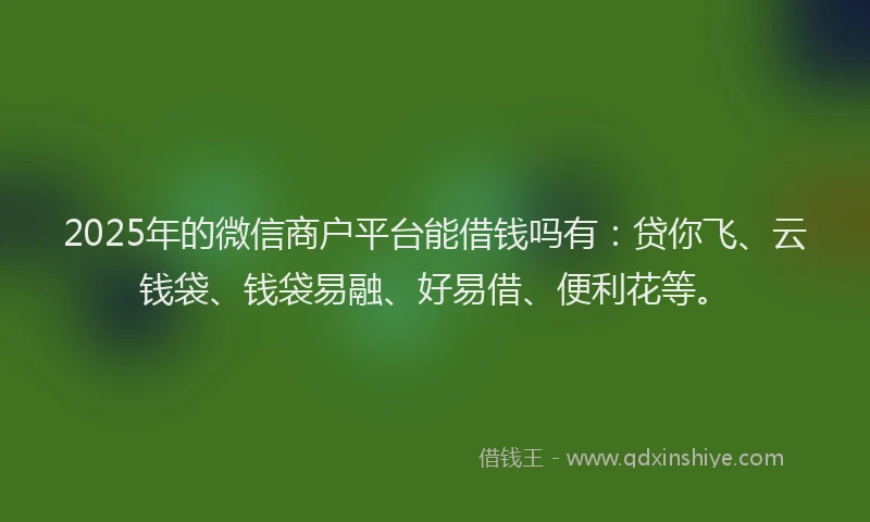 2025年的微信商户平台能借钱吗有：贷你飞、云钱袋、钱袋易融、好易借、便利花等。