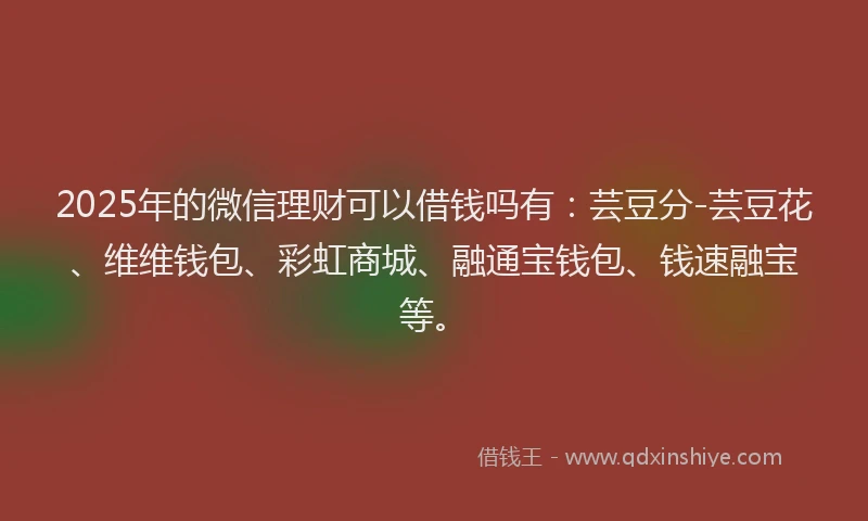 2025年的微信理财可以借钱吗有：芸豆分-芸豆花、维维钱包、彩虹商城、融通宝钱包、钱速融宝等。