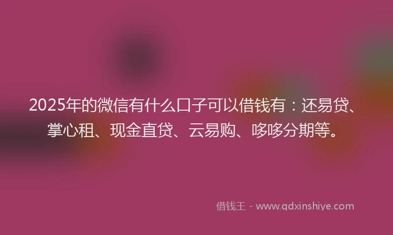 2025年的微信有什么口子可以借钱有：还易贷、掌心租、现金直贷、云易购、哆哆分期等。