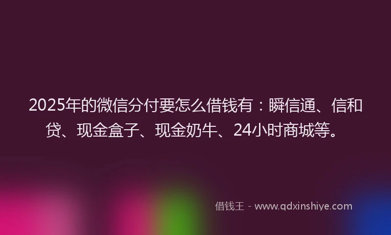 2025年的微信分付要怎么借钱有：瞬信通、信和贷、现金盒子、现金奶牛、24小时商城等。