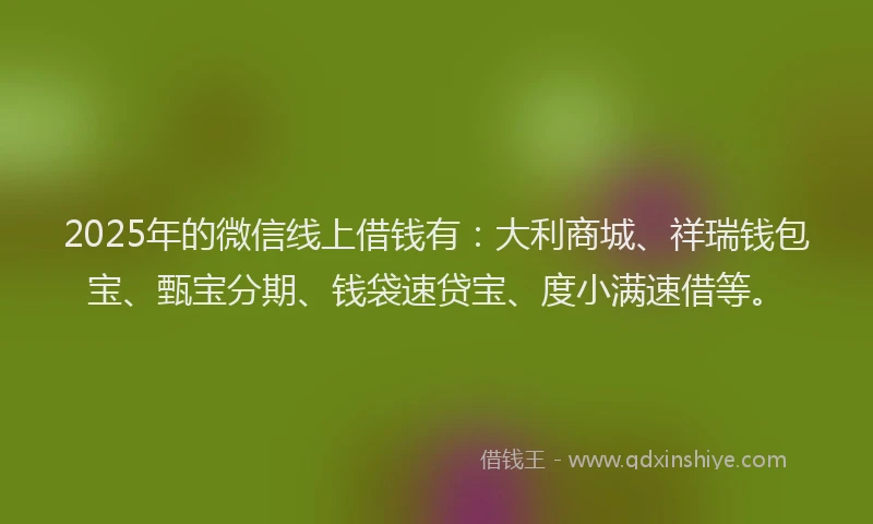 2025年的微信线上借钱有：大利商城、祥瑞钱包宝、甄宝分期、钱袋速贷宝、度小满速借等。