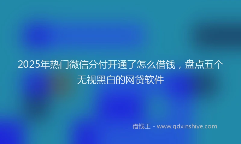 2025年热门微信分付开通了怎么借钱，盘点五个无视黑白的网贷软件