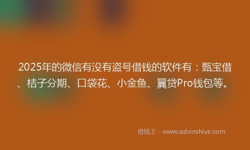 2025年的微信有没有盗号借钱的软件有：甄宝借、桔子分期、口袋花、小金鱼、翼贷Pro钱包等。