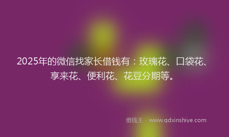 2025年的微信找家长借钱有：玫瑰花、口袋花、享来花、便利花、花豆分期等。