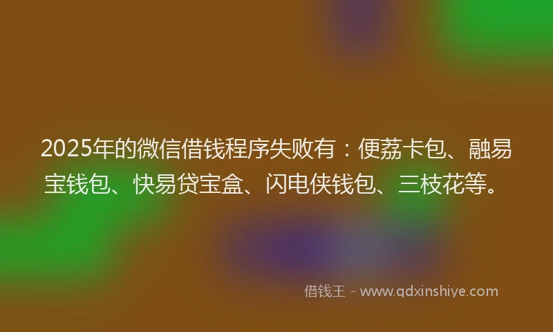 2025年的微信借钱程序失败有：便荔卡包、融易宝钱包、快易贷宝盒、闪电侠钱包、三枝花等。