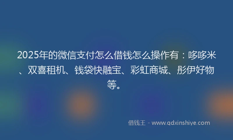 2025年的微信支付怎么借钱怎么操作有：哆哆米、双喜租机、钱袋快融宝、彩虹商城、彤伊好物等。