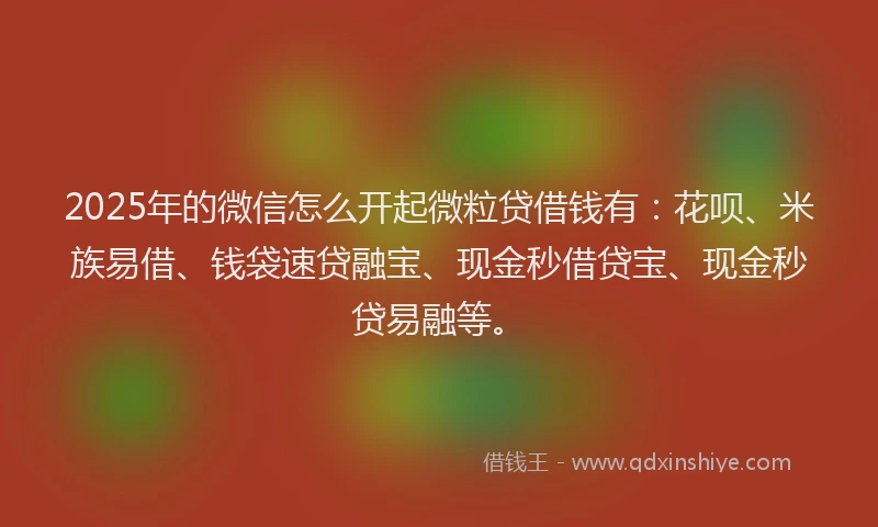 2025年的微信怎么开起微粒贷借钱有：花呗、米族易借、钱袋速贷融宝、现金秒借贷宝、现金秒贷易融等。
