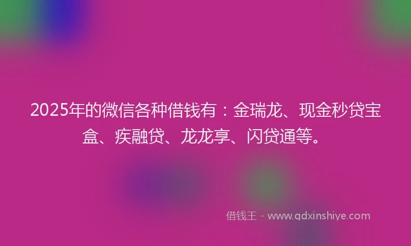 2025年的微信各种借钱有：金瑞龙、现金秒贷宝盒、疾融贷、龙龙享、闪贷通等。