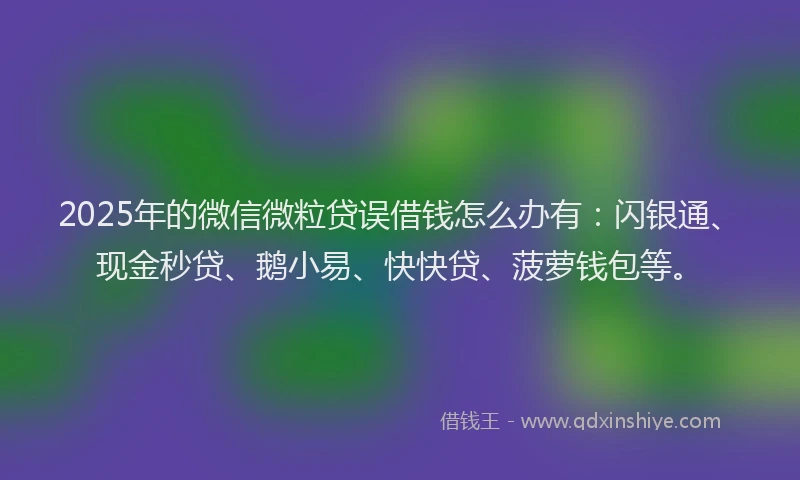 2025年的微信微粒贷误借钱怎么办有：闪银通、现金秒贷、鹅小易、快快贷、菠萝钱包等。