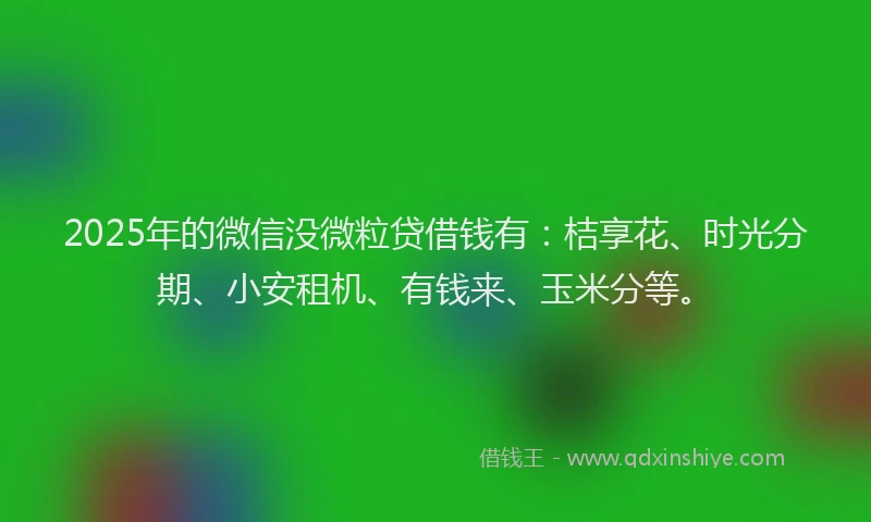 2025年的微信没微粒贷借钱有：桔享花、时光分期、小安租机、有钱来、玉米分等。
