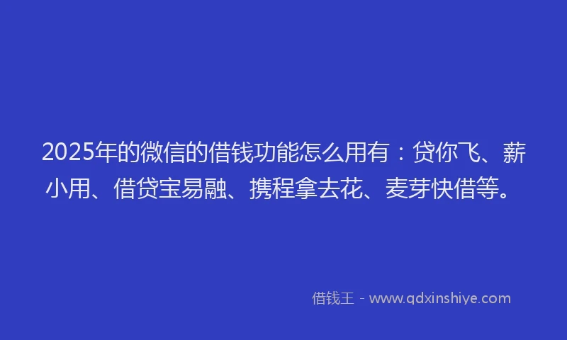 2025年的微信的借钱功能怎么用有：贷你飞、薪小用、借贷宝易融、携程拿去花、麦芽快借等。