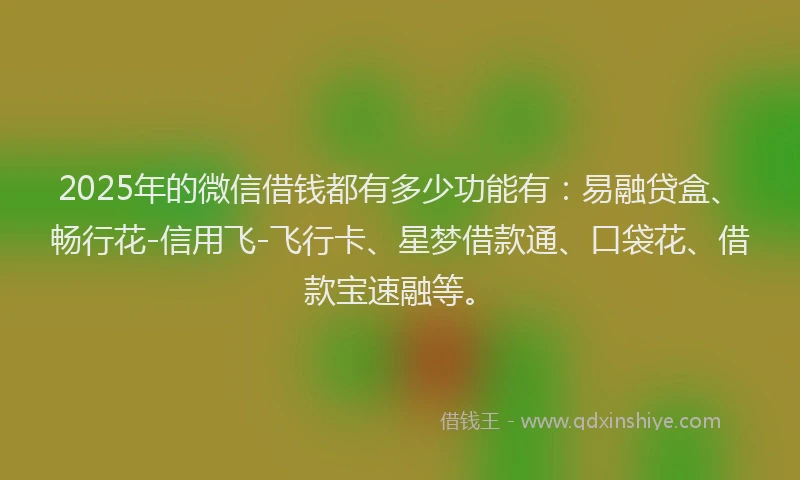 2025年的微信借钱都有多少功能有：易融贷盒、畅行花-信用飞-飞行卡、星梦借款通、口袋花、借款宝速融等。