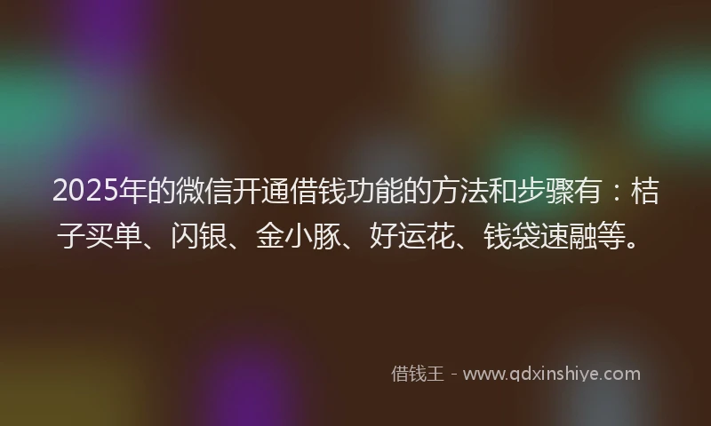 2025年的微信开通借钱功能的方法和步骤有：桔子买单、闪银、金小豚、好运花、钱袋速融等。