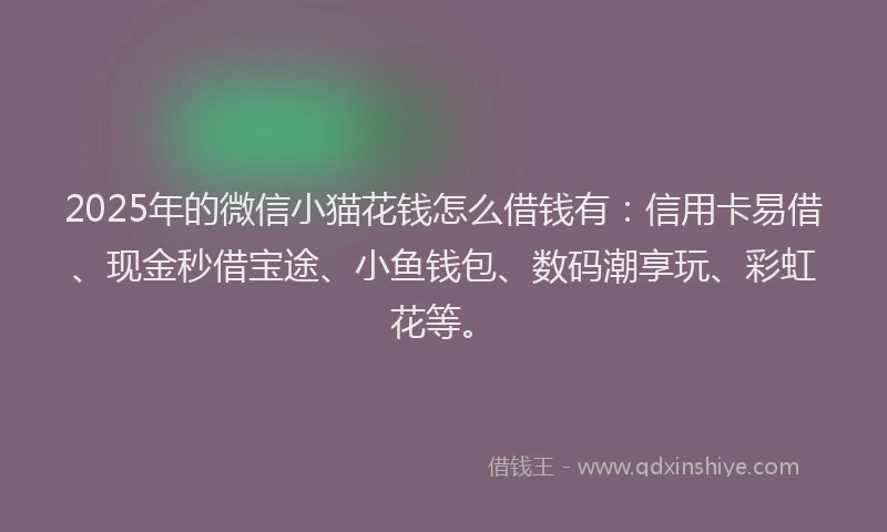 2025年的微信小猫花钱怎么借钱有：信用卡易借、现金秒借宝途、小鱼钱包、数码潮享玩、彩虹花等。