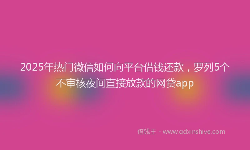 2025年热门微信如何向平台借钱还款，罗列5个不审核夜间直接放款的网贷app