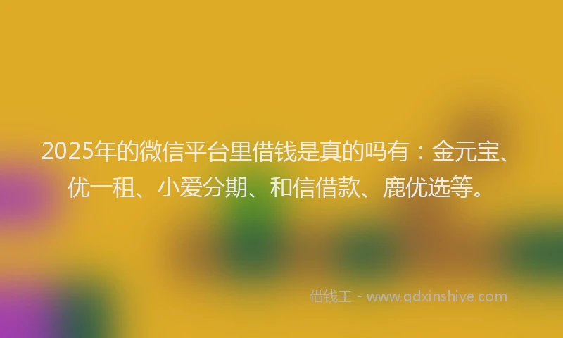 2025年的微信平台里借钱是真的吗有：金元宝、优一租、小爱分期、和信借款、鹿优选等。
