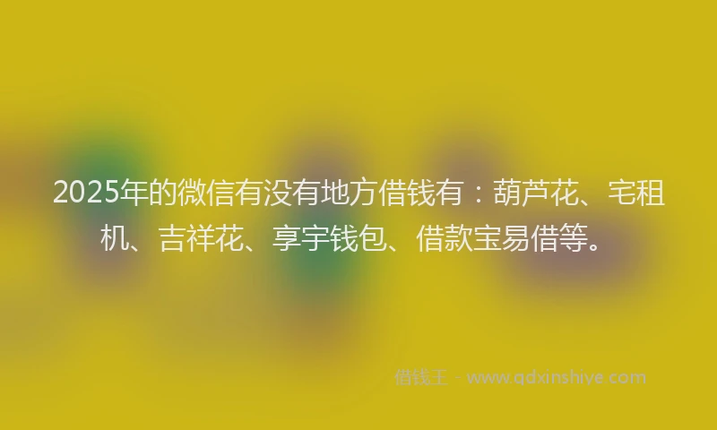 2025年的微信有没有地方借钱有：葫芦花、宅租机、吉祥花、享宇钱包、借款宝易借等。