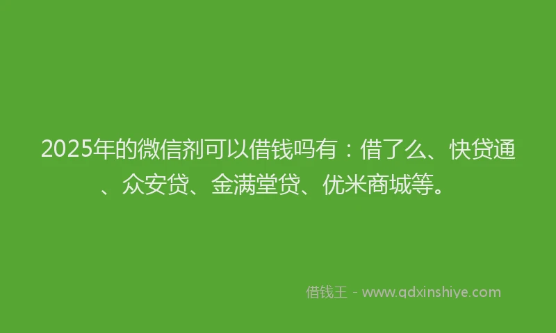 2025年的微信剂可以借钱吗有：借了么、快贷通、众安贷、金满堂贷、优米商城等。