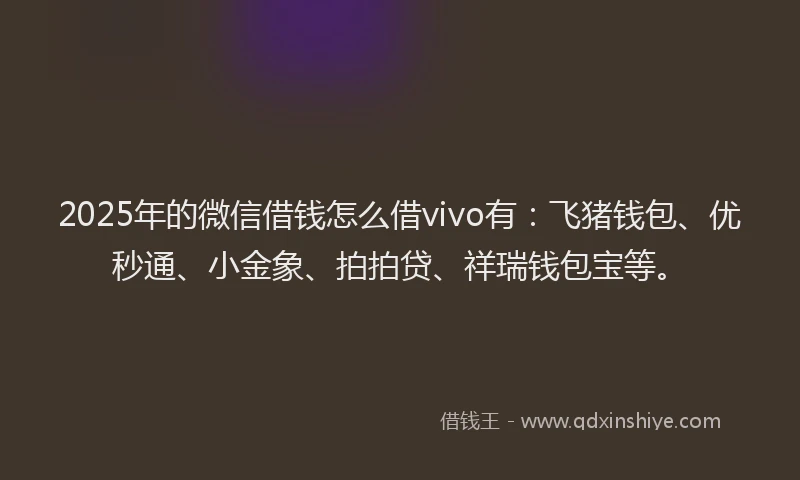 2025年的微信借钱怎么借vivo有：飞猪钱包、优秒通、小金象、拍拍贷、祥瑞钱包宝等。