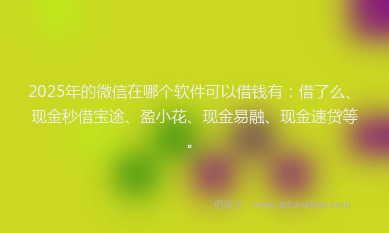 2025年的微信在哪个软件可以借钱有：借了么、现金秒借宝途、盈小花、现金易融、现金速贷等。