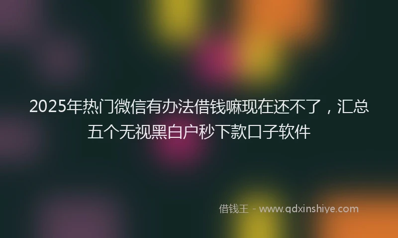 2025年热门微信有办法借钱嘛现在还不了，汇总五个无视黑白户秒下款口子软件