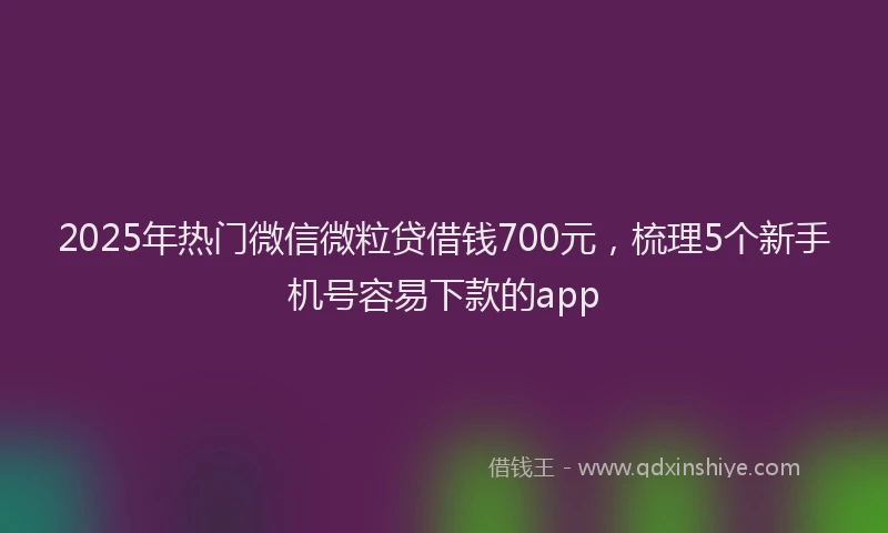 2025年热门微信微粒贷借钱700元，梳理5个新手机号容易下款的app
