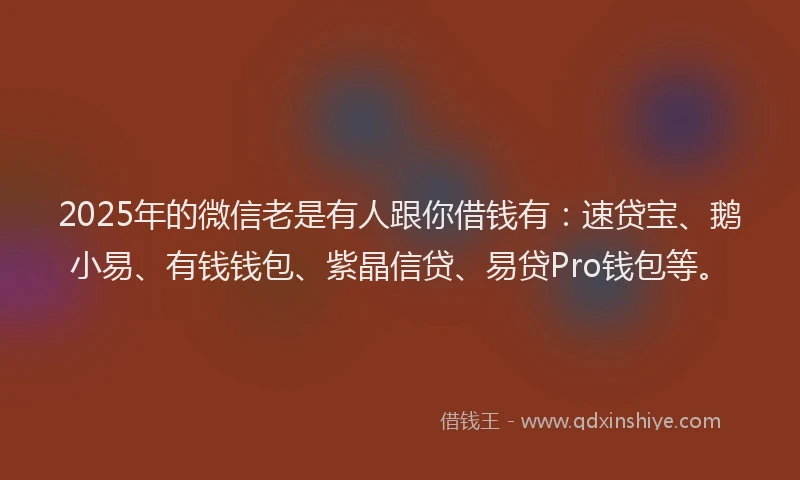 2025年的微信老是有人跟你借钱有：速贷宝、鹅小易、有钱钱包、紫晶信贷、易贷Pro钱包等。