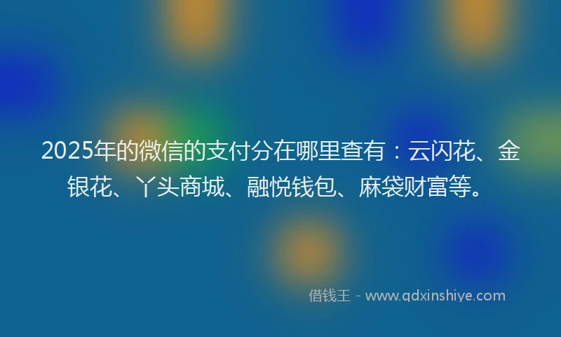 2025年的微信的支付分在哪里查有：云闪花、金银花、丫头商城、融悦钱包、麻袋财富等。