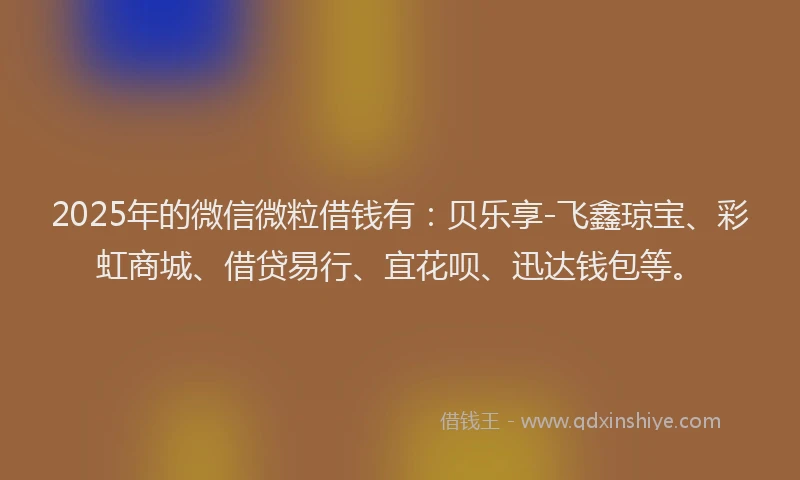2025年的微信微粒借钱有：贝乐享-飞鑫琼宝、彩虹商城、借贷易行、宜花呗、迅达钱包等。