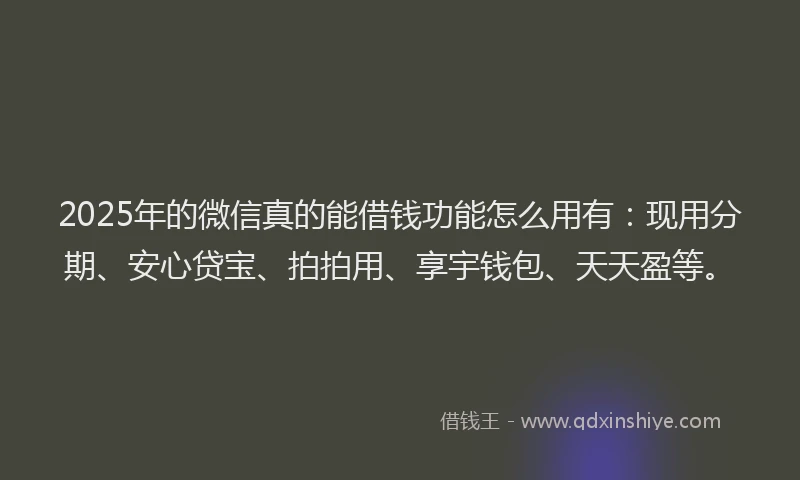 2025年的微信真的能借钱功能怎么用有：现用分期、安心贷宝、拍拍用、享宇钱包、天天盈等。