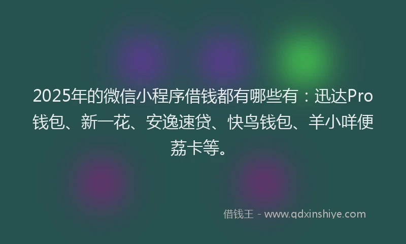 2025年的微信小程序借钱都有哪些有：迅达Pro钱包、新一花、安逸速贷、快鸟钱包、羊小咩便荔卡等。