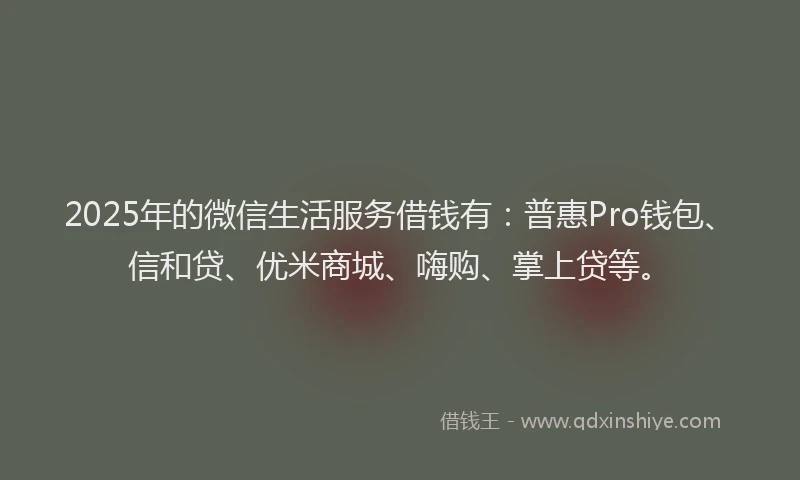 2025年的微信生活服务借钱有：普惠Pro钱包、信和贷、优米商城、嗨购、掌上贷等。