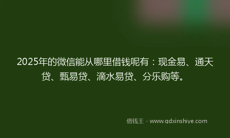 2025年的微信能从哪里借钱呢有：现金易、通天贷、甄易贷、滴水易贷、分乐购等。