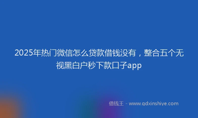 2025年热门微信怎么贷款借钱没有，整合五个无视黑白户秒下款口子app