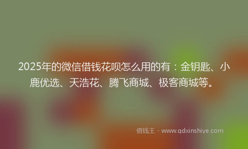 2025年的微信借钱花呗怎么用的有：金钥匙、小鹿优选、天浩花、腾飞商城、极客商城等。