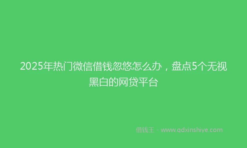 2025年热门微信借钱忽悠怎么办，盘点5个无视黑白的网贷平台