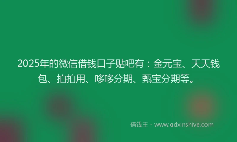 2025年的微信借钱口子贴吧有：金元宝、天天钱包、拍拍用、哆哆分期、甄宝分期等。