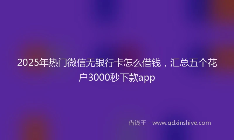 2025年热门微信无银行卡怎么借钱，汇总五个花户3000秒下款app