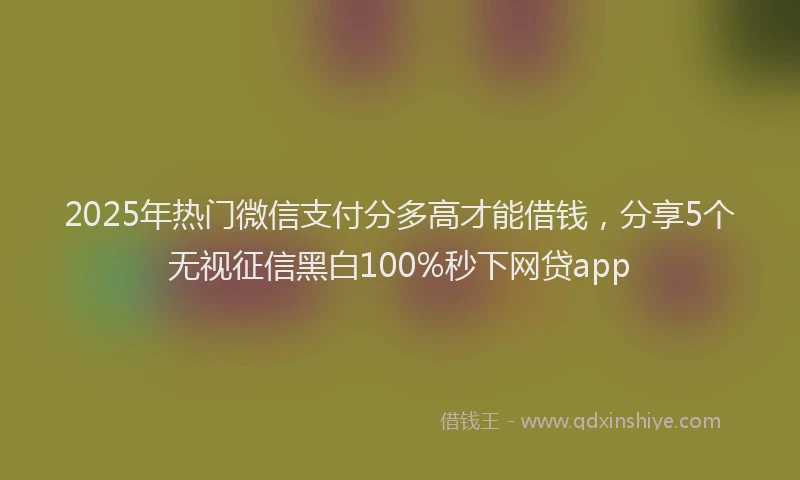 2025年热门微信支付分多高才能借钱，分享5个无视征信黑白100%秒下网贷app